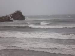 20070217215444-temp1.jpg