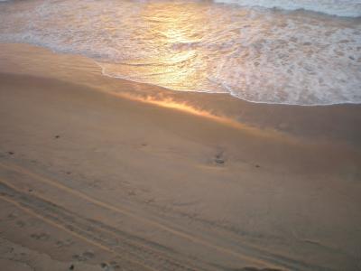 20070528215702-marena.jpg
