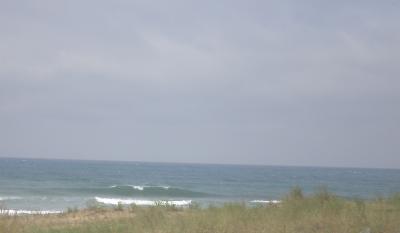 20070904002201-recort.jpg